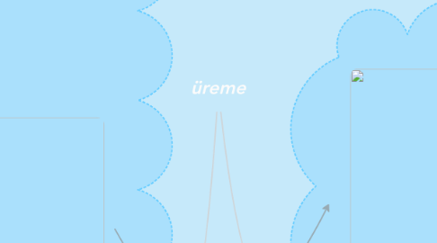 Mind Map: üreme