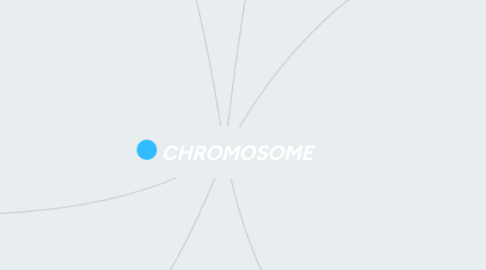 Mind Map: CHROMOSOME