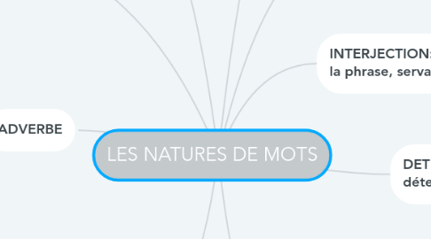 Mind Map: LES NATURES DE MOTS