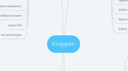 Mind Map: Kroppen