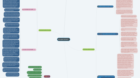 Mind Map: DOLAŞIM SİSTEMİ