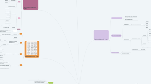 Mind Map: Marcha