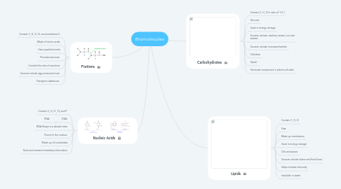 Mind Map: Biomolecules