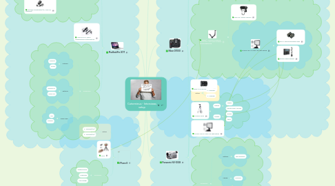 Mind Map: Coterminus - Interviews setup