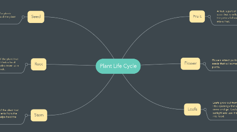 Mind Map: Plant Life Cycle