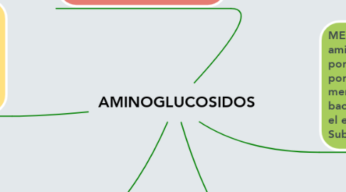 Mind Map: AMINOGLUCOSIDOS