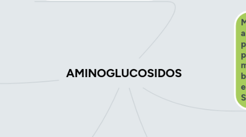 Mind Map: AMINOGLUCOSIDOS