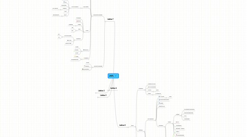 Mind Map: LMI PL