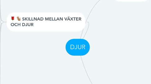 Mind Map: DJUR