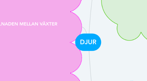 Mind Map: DJUR