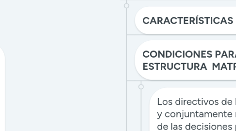 Mind Map: DISEÑO ORGANIZATIVO