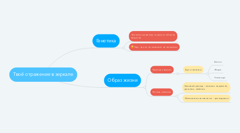 Mind Map: Твоё отражение в зеркале