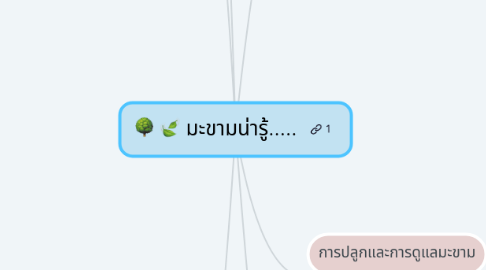 Mind Map: มะขามน่ารู้.....