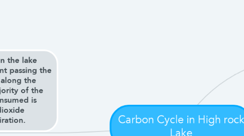 Mind Map: Carbon Cycle in High rock Lake