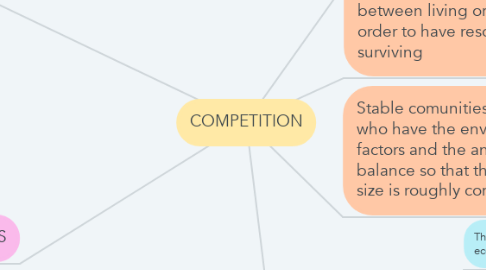 Mind Map: COMPETITION