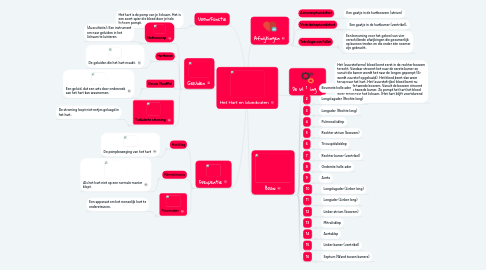 Mind Map: Het Hart en bloedvaten