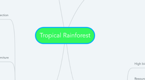 Mind Map: Tropical Rainforest