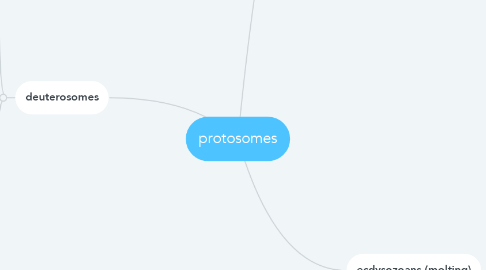Mind Map: protosomes