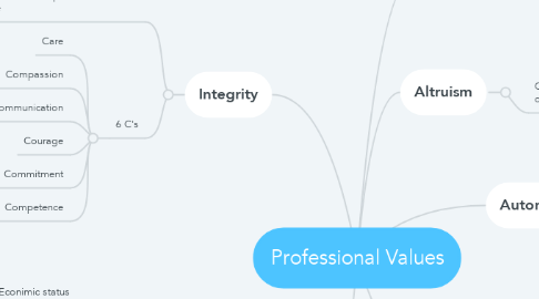Mind Map: Professional Values