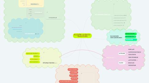 Mind Map: BİLGİSAYAR VE ÖĞRETİM TEKNOLOJİLERİ