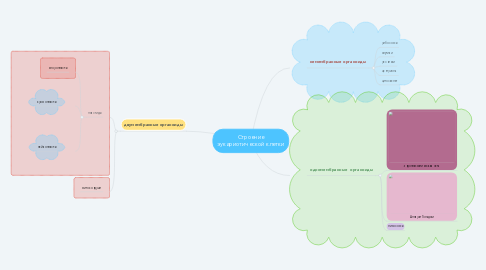 Mind Map: Строение эукариотической клетки