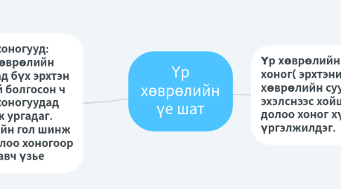 Mind Map: Үр хөврөлийн үе шат