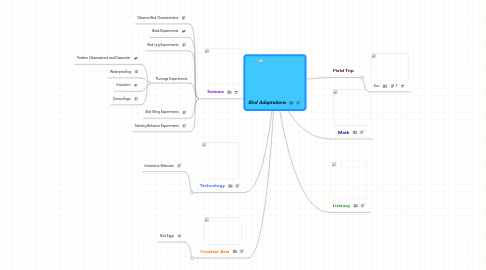 Mind Map: Bird Adaptations