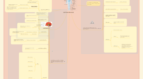 Mind Map: SISTEMA NERVIOSO