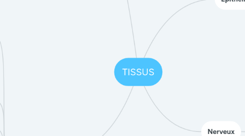 Mind Map: TISSUS