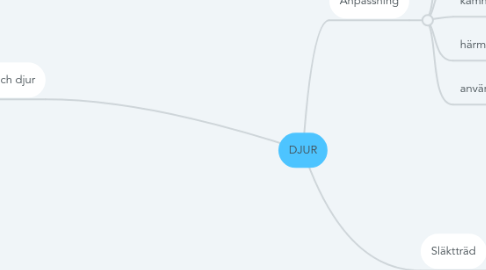 Mind Map: DJUR