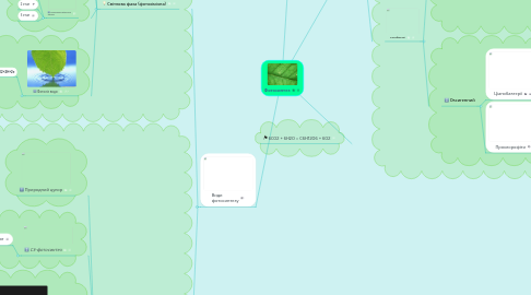 Mind Map: Фотосинтез