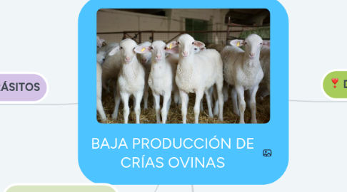 Mind Map: BAJA PRODUCCIÓN DE CRÍAS OVINAS