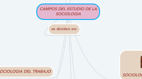 Mind Map: CAMPOS DEL ESTUDIO DE LA SOCIOLOGIA