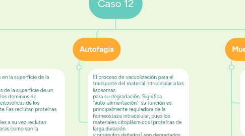 Mind Map: Caso 12