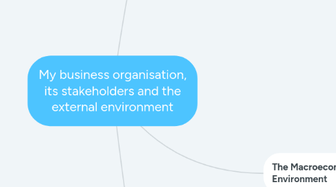 Mind Map: My business organisation, its stakeholders and the external environment