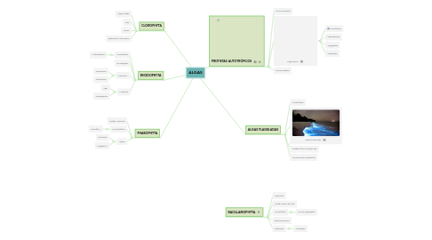 Mind Map: ALGAS