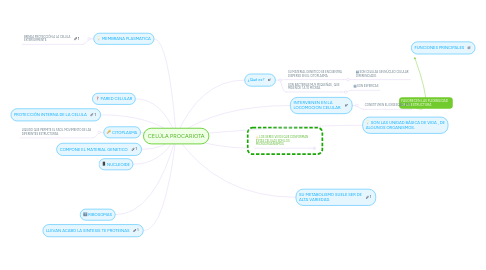 Mind Map: CELÚLA PROCARIOTA