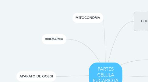 Mind Map: PARTES CÉLULA EUCARIOTA