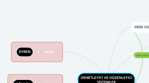 Mind Map: DENETLEYİCİ VE DÜZENLEYİCİ SİSTEMLER