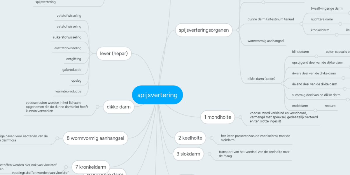 spijsvertering | MindMeister Mind Map