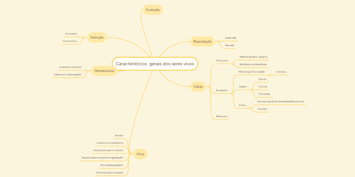 Características Gerais Dos Seres Vivos Mapa Mental