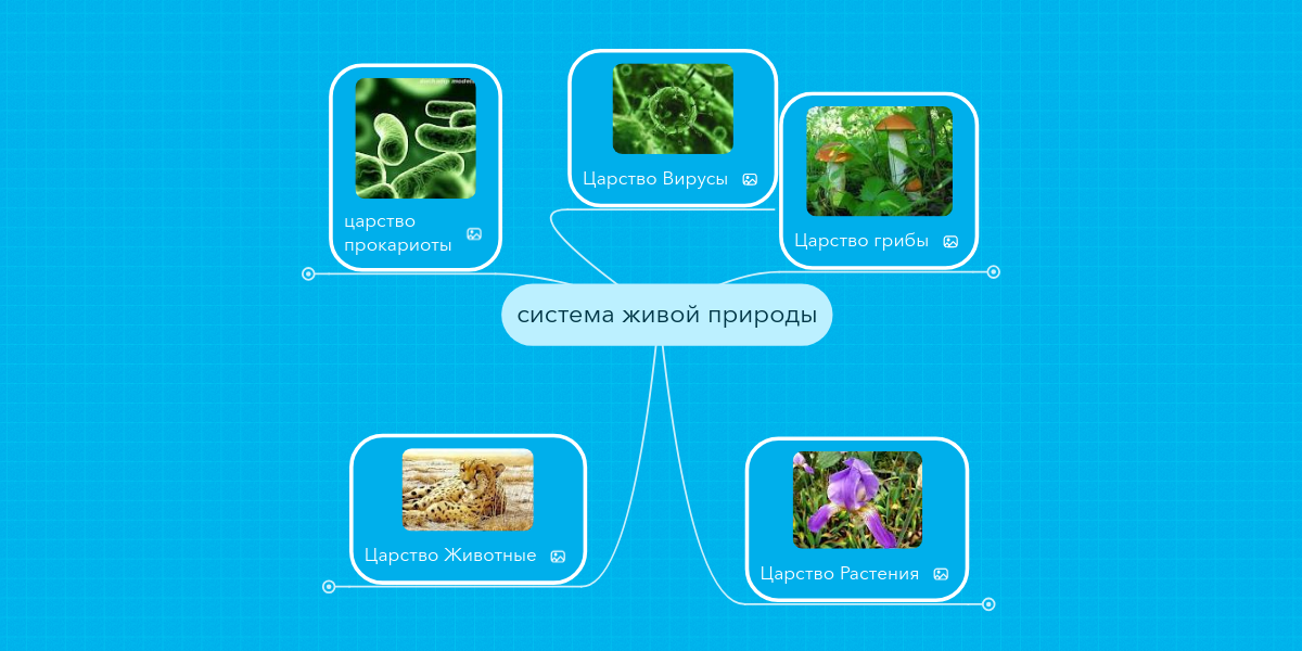 Растения живая система
